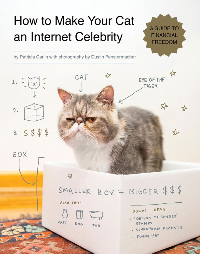 how-to-make-your-cat-an-internet-celebrity-book
