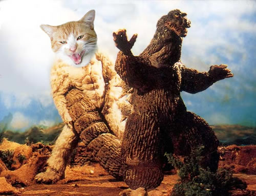 Godzilla vs.cat