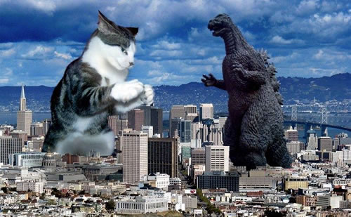 The Ultimate Battle! Godzilla Versus Cats! | Riot Daily