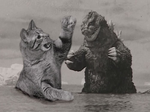 godzilla-vs-cat