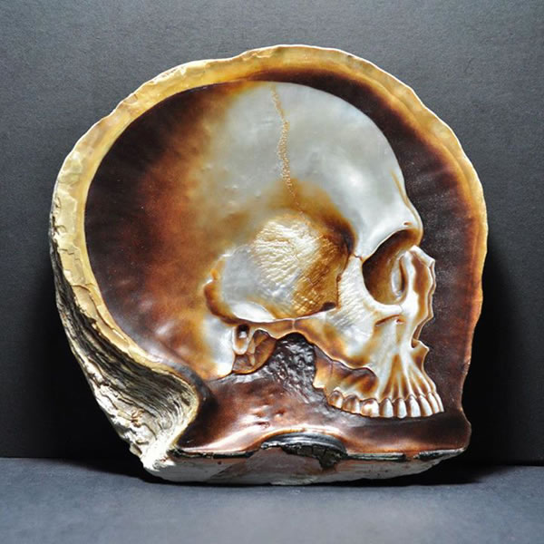 shell_skulls_4