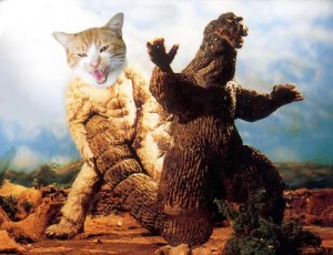 The Ultimate Battle! Godzilla Versus Cats! | Riot Daily